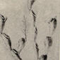 Eucratea chelata. 1903. Gymnolaemata.