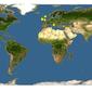 Discover Life: Point Map of Bugula turbinata