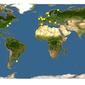 Discover Life: Point Map of Cryptosula pallasiana