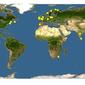 Discover Life: Point Map of Electra pilosa