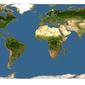 Discover Life: Point Map of Escharella klugei